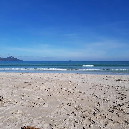 Ideal Property Mallorca - Sa Vinya Vella Alcudia  Eksteriør billede