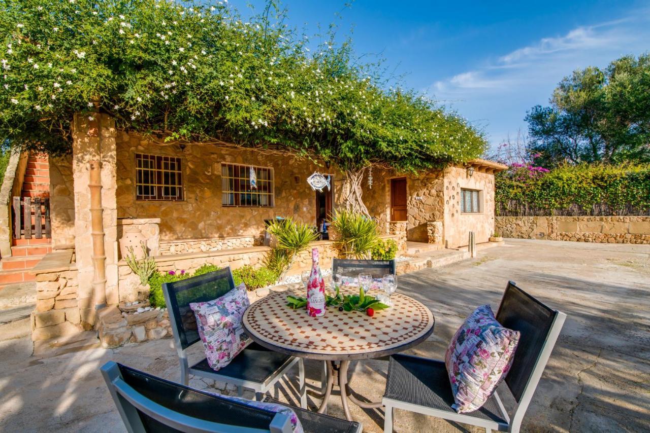 Ideal Property Mallorca - Sa Vinya Vella Alcudia  Eksteriør billede