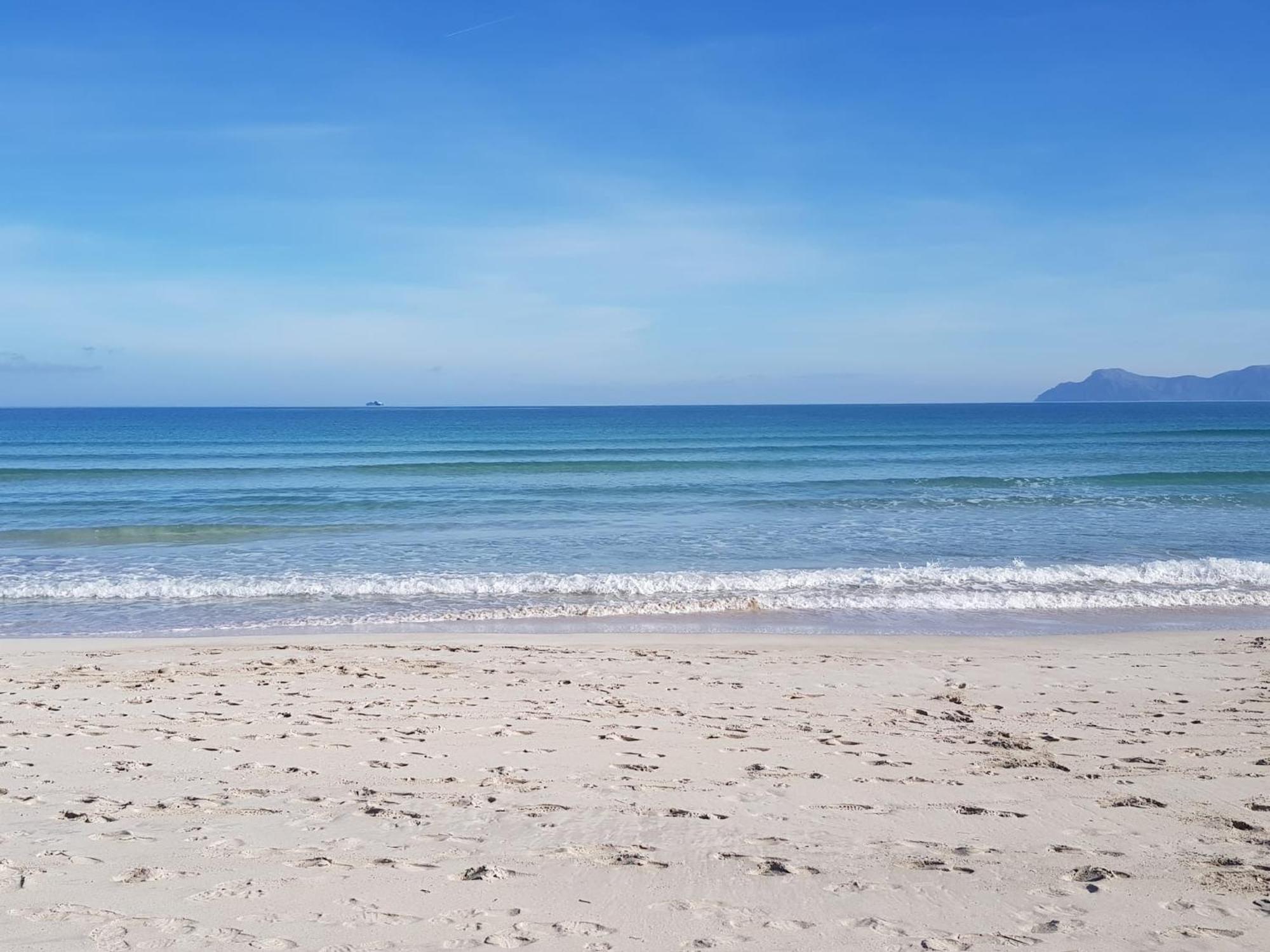 Ideal Property Mallorca - Sa Vinya Vella Alcudia  Eksteriør billede