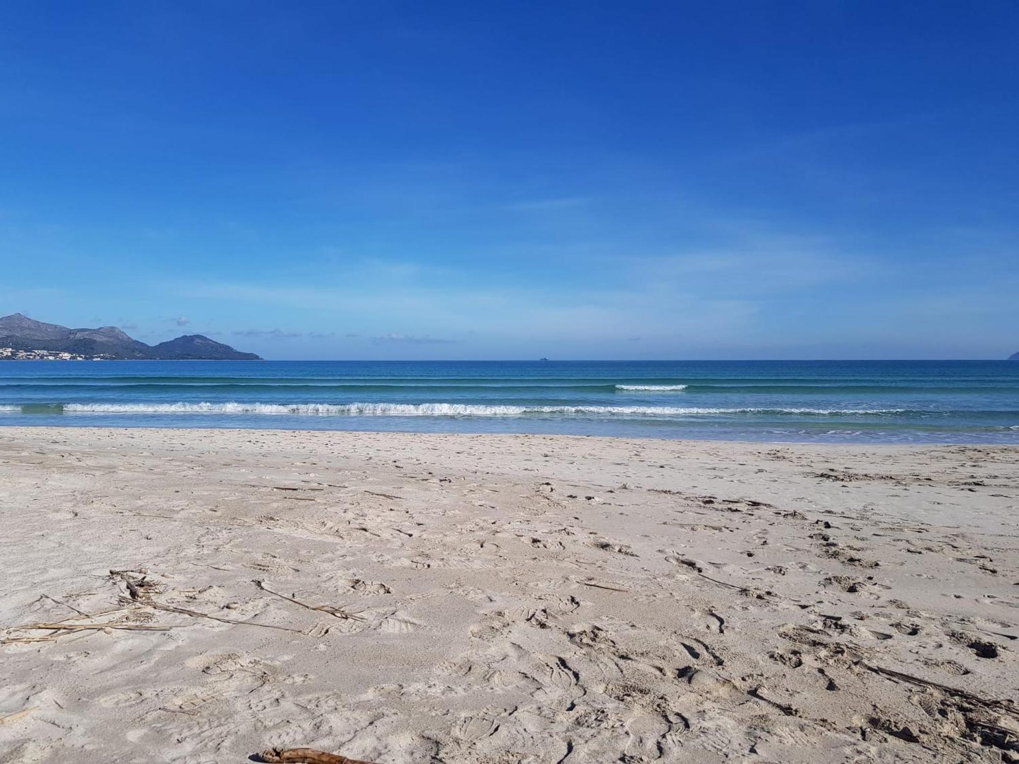Ideal Property Mallorca - Sa Vinya Vella Alcudia  Eksteriør billede